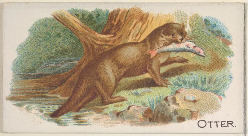 Otter, from the Quadrupeds series (N21) for Allen & Ginter Cigarettes Wall Art by Allen & Ginter - High-Resolution Digital Print
