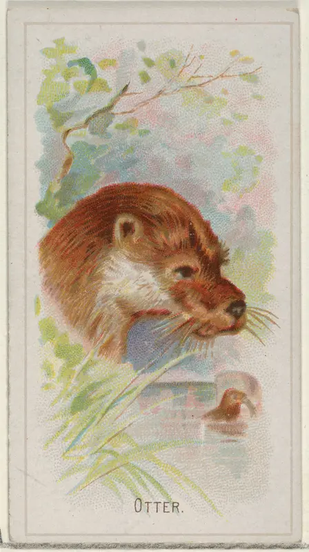 Otter, from the Wild Animals of the World series (N25) for Allen & Ginter Cigarettes Wall Art by Allen & Ginter - High-Resolution Digital Print