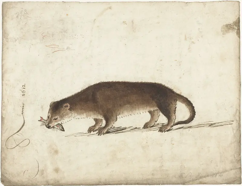 Otter met een vis in zijn bek Wall Art by Unknown - High-Resolution Digital Print