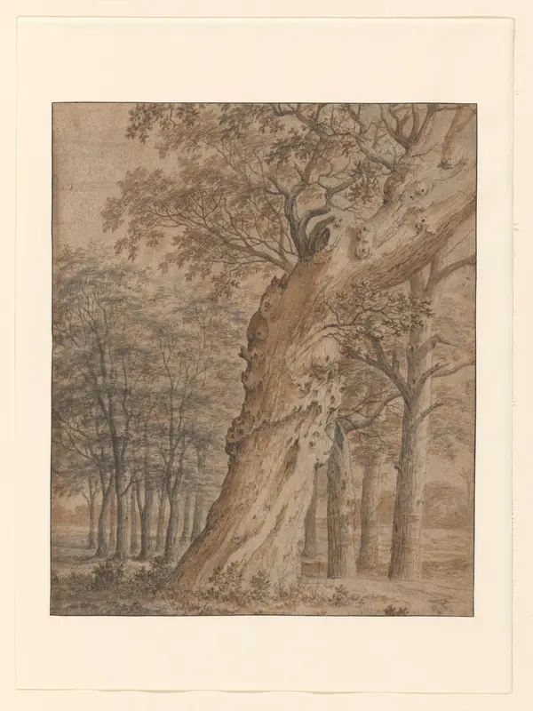 Oude eik in een bos Wall Art by Joris van der Haagen - High-Resolution Digital Print