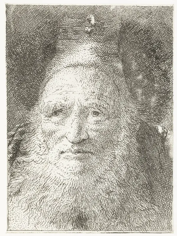 Oude man met bontmuts Wall Art by Giovanni Domenico Tiepolo - High-Resolution Digital Print