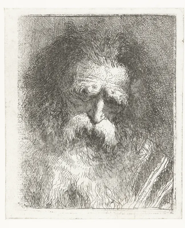 Oude man met borstelige wenkbrauwen en baard Wall Art by Giovanni Domenico Tiepolo - High-Resolution Digital Print