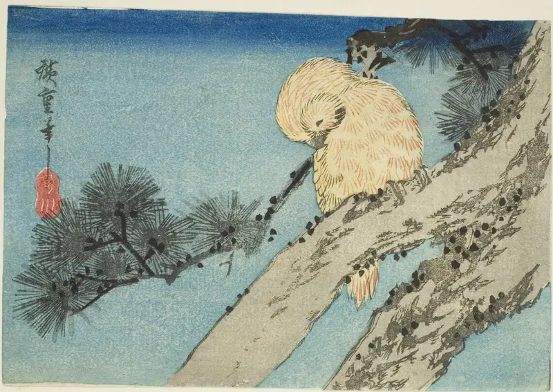 Owl on pine branch