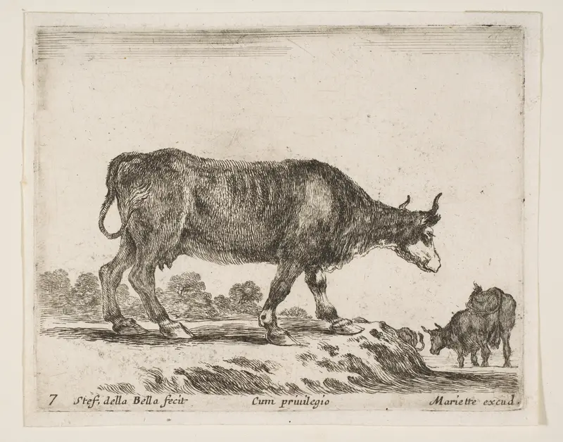 Ox, plate 7 from "Various Animals" (Diversi Animali) Wall Art by Stefano della Bella - High-Resolution Digital Print