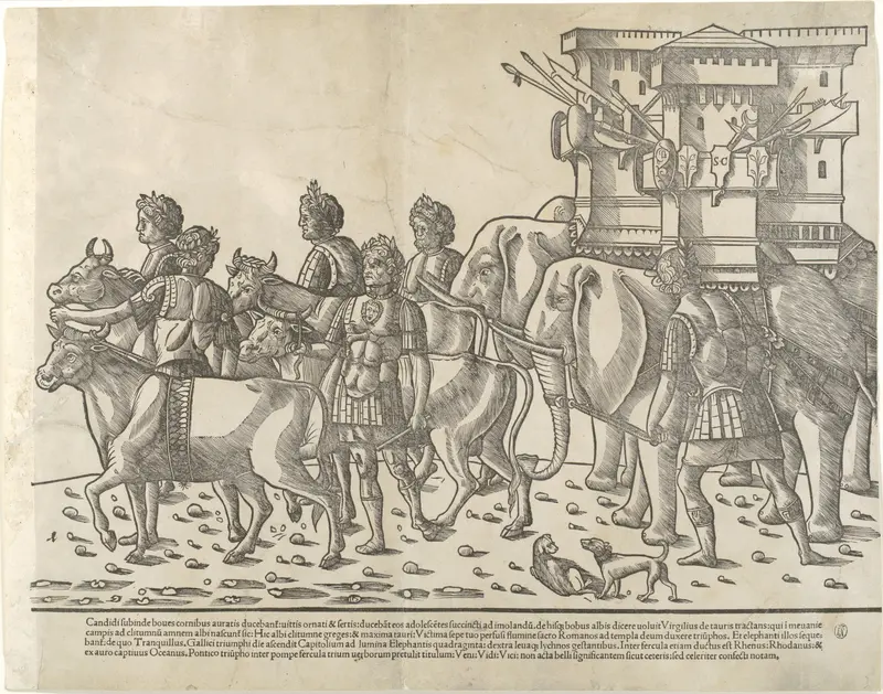 Oxen and elephants, from "The Triumph of Caesar"