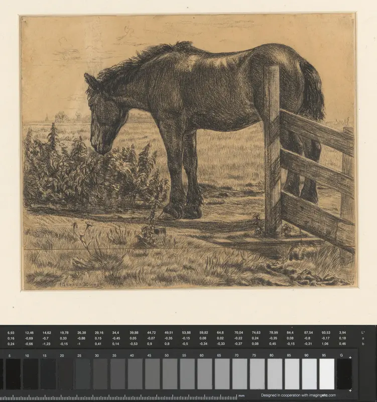 Paard bij damhek Wall Art by Unknown - High-Resolution Digital Print