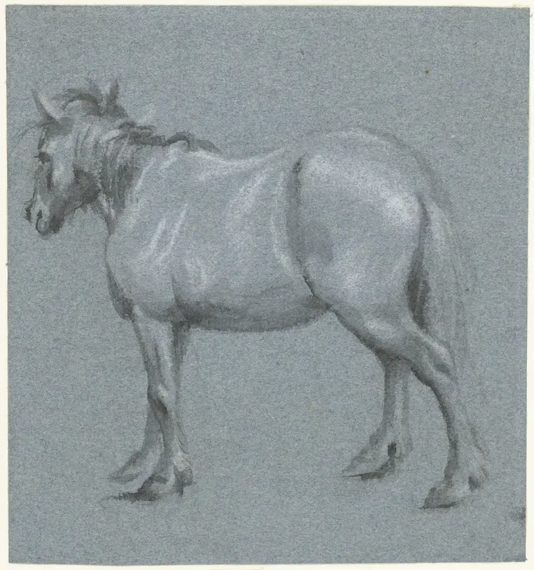 Paard in profiel, naar links Wall Art by Moses ter Borch - High-Resolution Digital Print