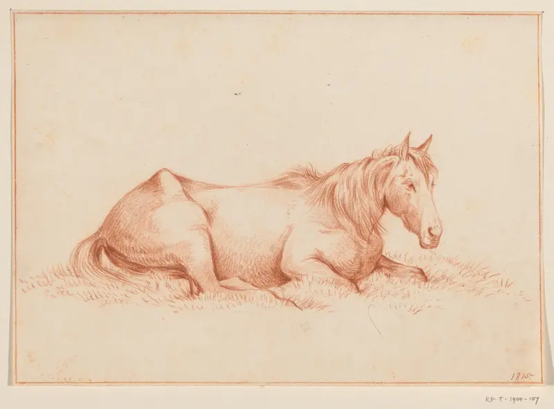 Paard liggend in het gras, naar rechts Wall Art by Jean Bernard - High-Resolution Digital Print