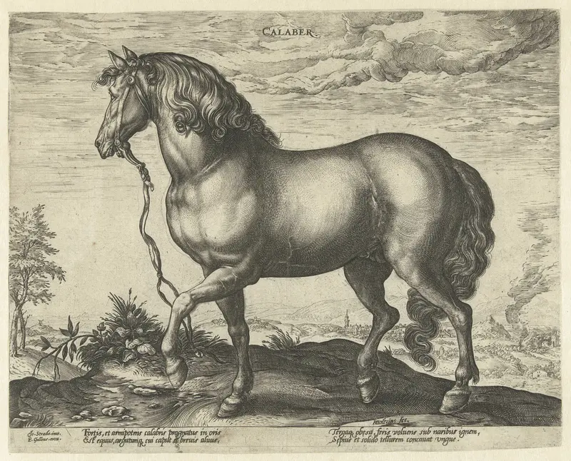 Paard uit Calabrië Wall Art by Unknown - High-Resolution Digital Print