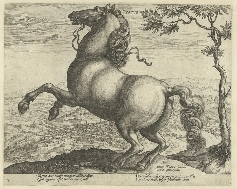 Paard uit Toscane Wall Art by Philips Galle - High-Resolution Digital Print