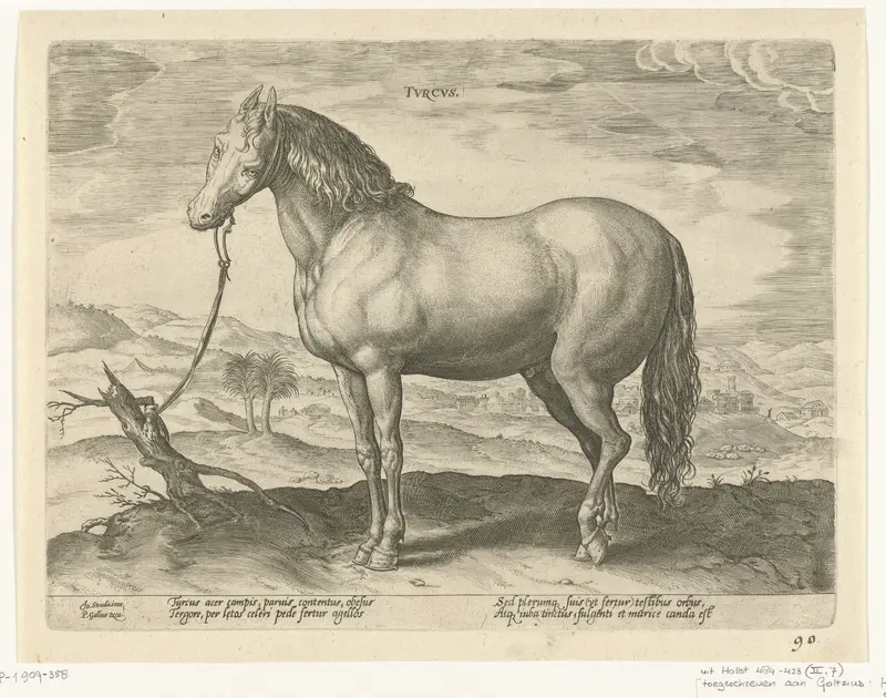 Paard uit Turkije Wall Art by Unknown - High-Resolution Digital Print