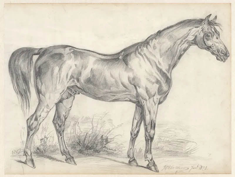 Paard van opzij gezien Wall Art by J.C. Kerkhoven - High-Resolution Digital Print