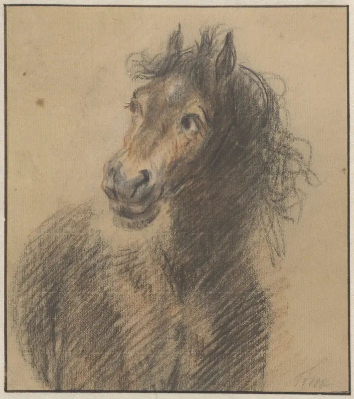 Paard, van voren gezien, de kop naar links Wall Art by Cornelis Troost - High-Resolution Digital Print