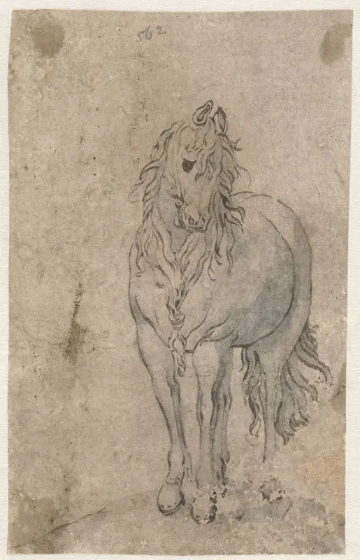 Paard van voren gezien Wall Art by anonymous - High-Resolution Digital Print