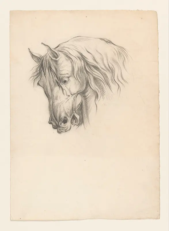 Paardenkop, naar links Wall Art by Johannes Tavenraat - High-Resolution Digital Print