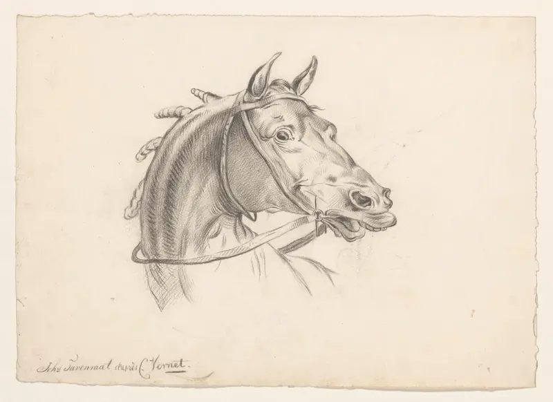 Paardenkop, naar rechts Wall Art by Johannes Tavenraat - High-Resolution Digital Print