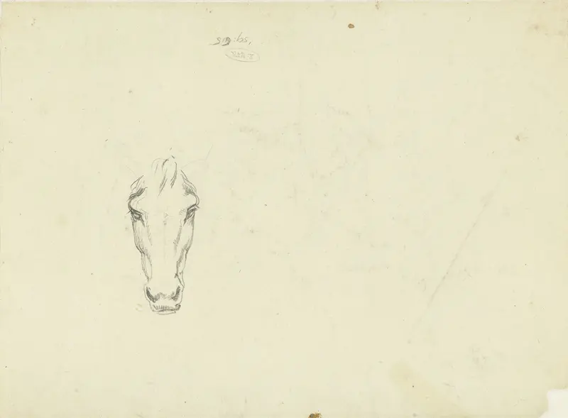 Paardenkop, van voren gezien Wall Art by Hendrik Voogd - High-Resolution Digital Print