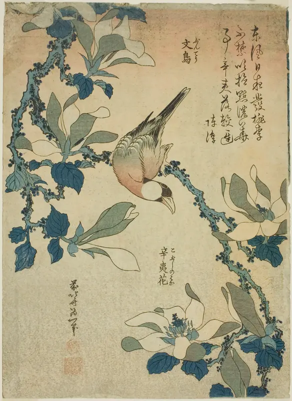 Paddy Bird and Magnolia Flowers (Buncho, kobushi no hana), from an untitled series of flowers and birds