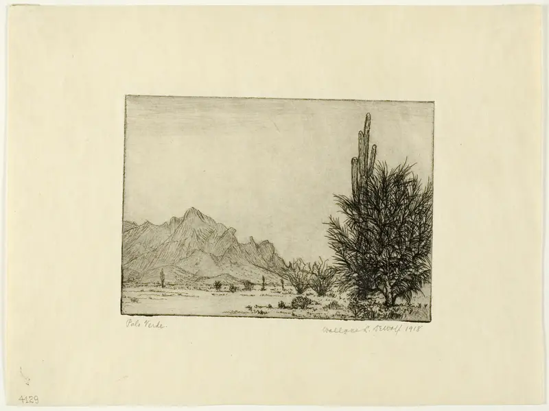 Palo Verde