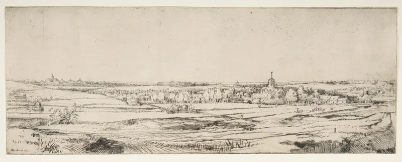 Panorama near Bloemendael Showing the Saxenburg Estate