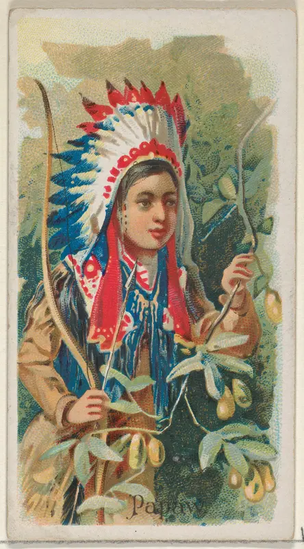Papaw, from the Fruits series (N12) for Allen & Ginter Cigarettes Brands Wall Art by Allen & Ginter - High-Resolution Digital Print
