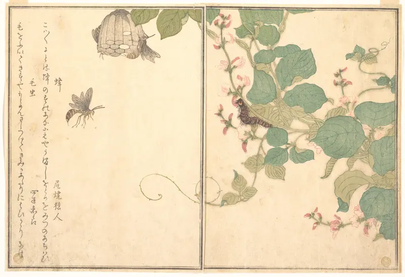Paper Wasp (Hachi); Hairy Caterpillar (Kemushi), from the Picture Book of Crawling Creatures (Ehon mushi erami)