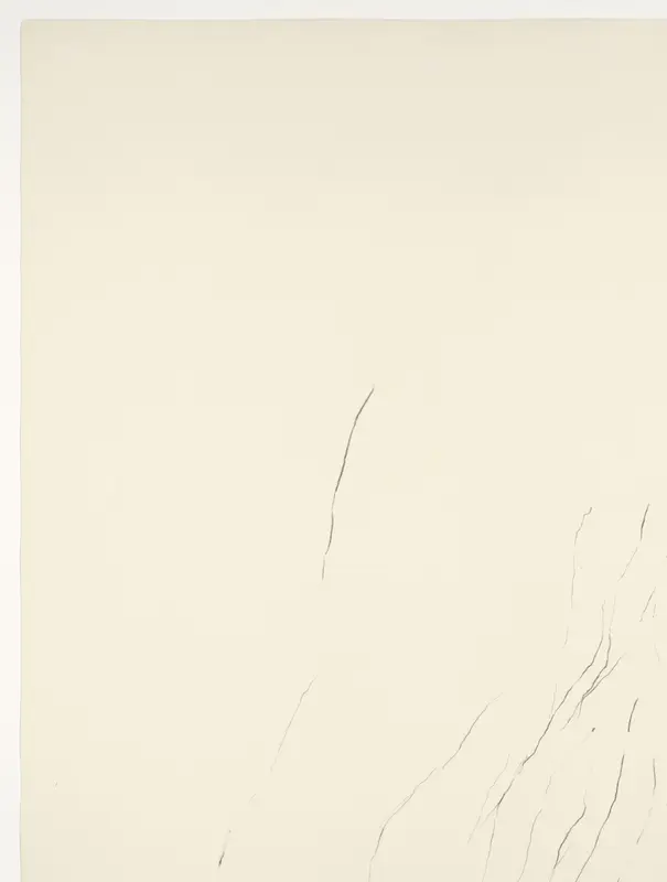 Parallelle lijnen Wall Art by Unknown - High-Resolution Digital Print