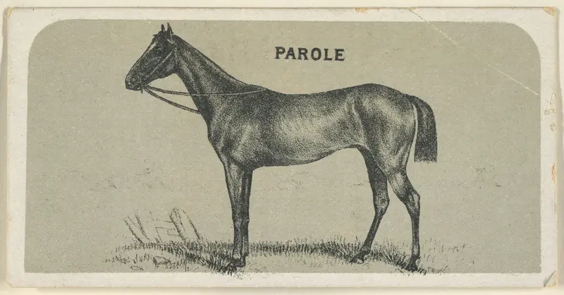 Parole, from the Race Horses series (N168) for Canvas Backs Cigarettes by Goodwin & Company - High-Resolution Digital Print