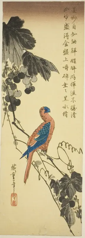 Parrot on a Grapevine