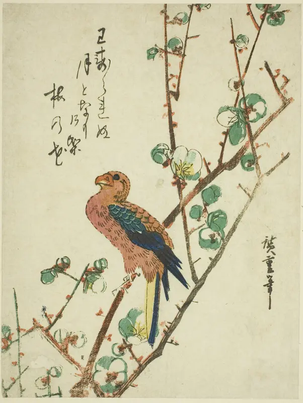 Parrot on plum tree