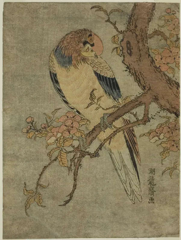 Parrot on Quince Tree Wall Art by Isoda Koryusai - High-Resolution Digital Print