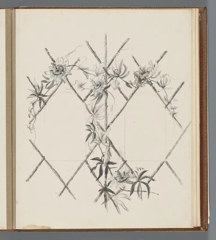Passiflora Wall Art by Unknown - High-Resolution Digital Print