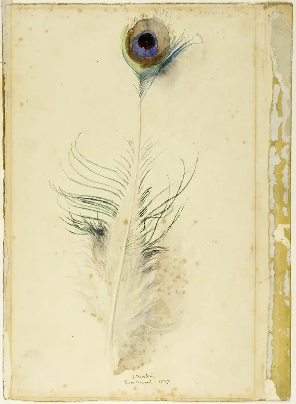 Peacock Feather Wall Art by John Ruskin - High-Resolution Digital Print