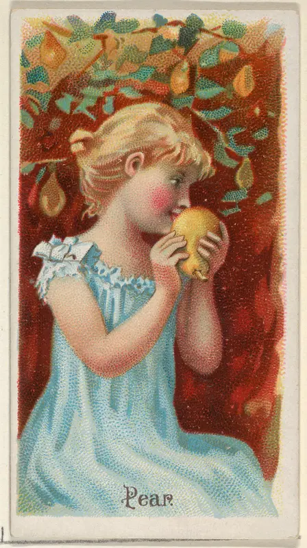 Pear, from the Fruits series (N12) for Allen & Ginter Cigarettes Brands Wall Art by Allen & Ginter - High-Resolution Digital Print