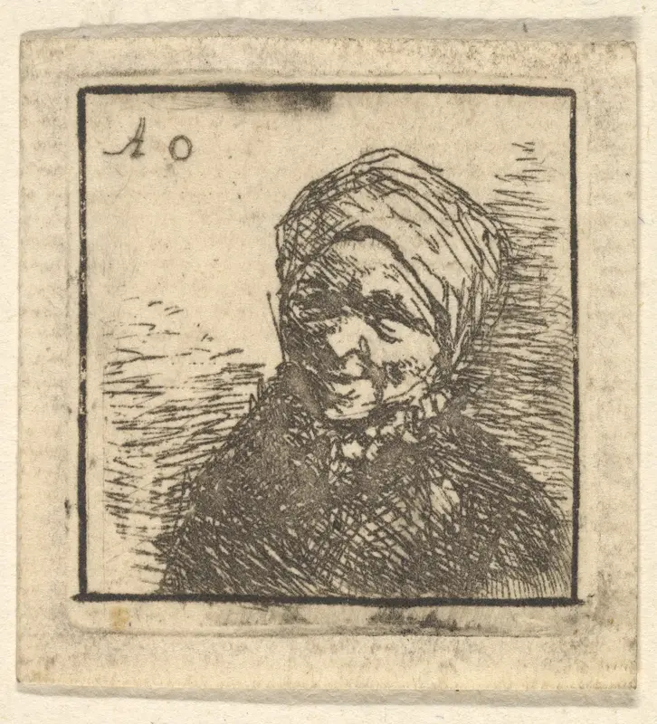 Peasant Woman Wall Art by Adriaen van Ostade - High-Resolution Digital Print