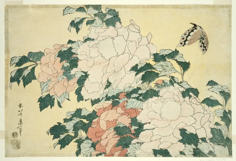 Peonies and Butterfly, from an untitled series of large flowers