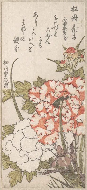 Peonies and Iris Wall Art by Yanagawa Shigemasa - High-Resolution Digital Print
