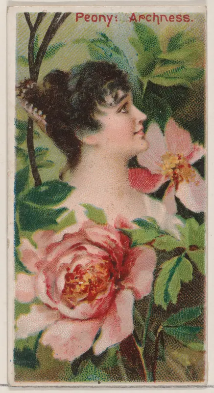 Peony: Archness, from the series Floral Beauties and Language of Flowers (N75) for Duke brand cigarettes Wall Art by American Tobacco Company - High-Resolution Digital Print