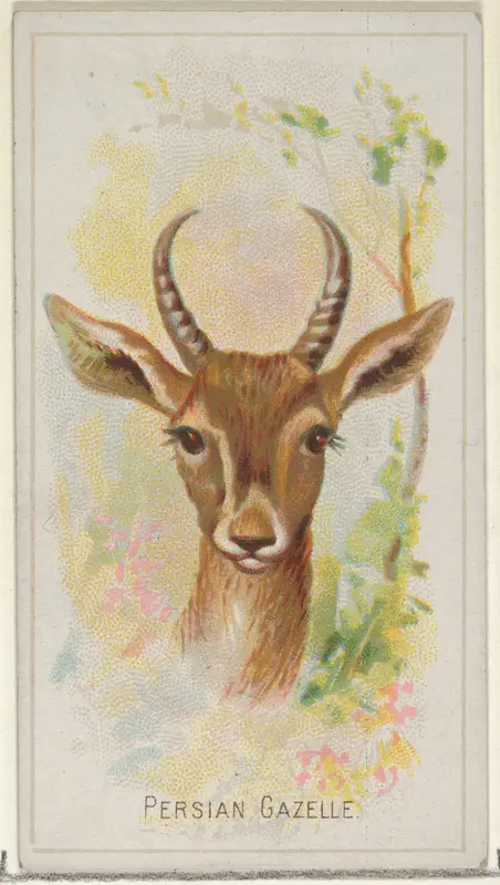 Persian Gazelle, from the Wild Animals of the World series (N25) for Allen & Ginter Cigarettes Wall Art by Allen & Ginter - High-Resolution Digital Print