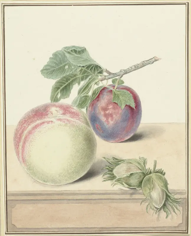 Perzik, een pruim met blad en een paar noten Wall Art by Elisabeth Geertruida van de Kasteele - High-Resolution Digital Print