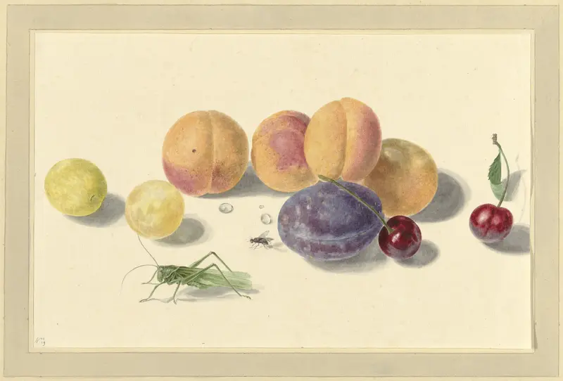 Perziken, pruimen, kersen en twee insecten Wall Art by Elisabeth Geertruida van de Kasteele - High-Resolution Digital Print
