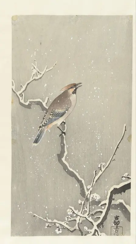 Pestvogel op besneeuwde tak Wall Art by Unknown - High-Resolution Digital Print