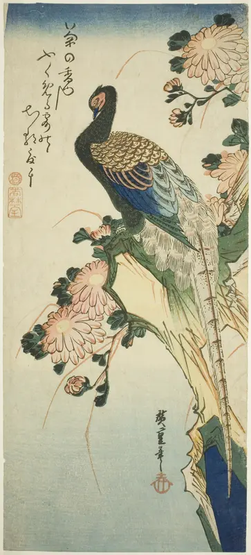 Pheasant and chrysanthemums