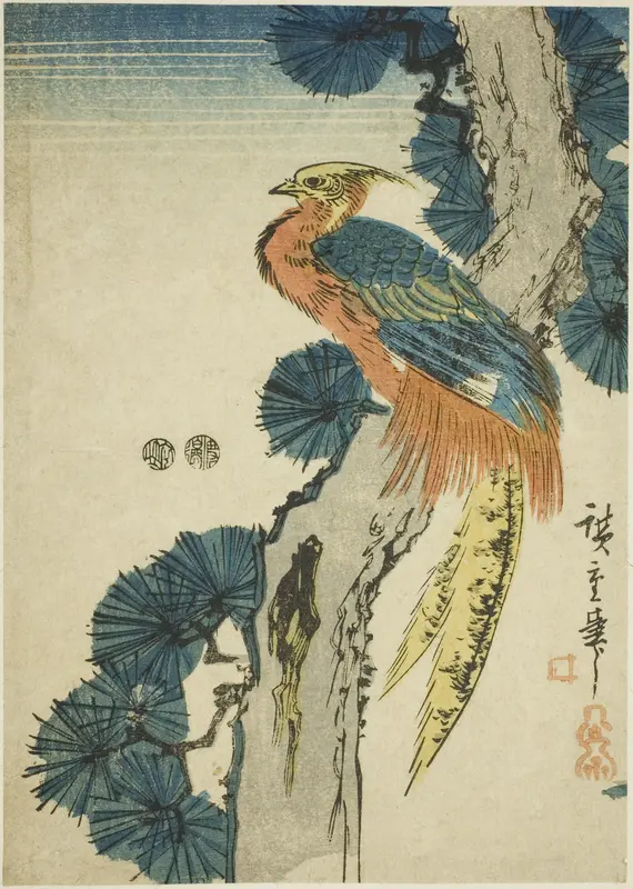 Pheasant and pine tree