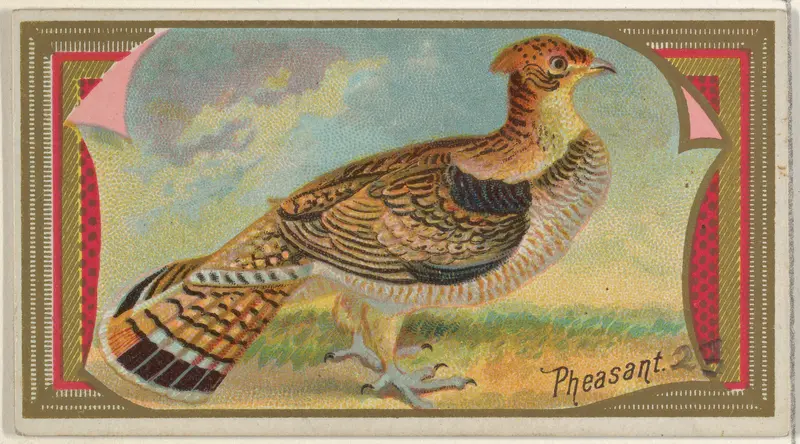 Pheasant, from the Game Birds series (N13) for Allen & Ginter Cigarettes Brands Wall Art by Allen & Ginter - High-Resolution Digital Print