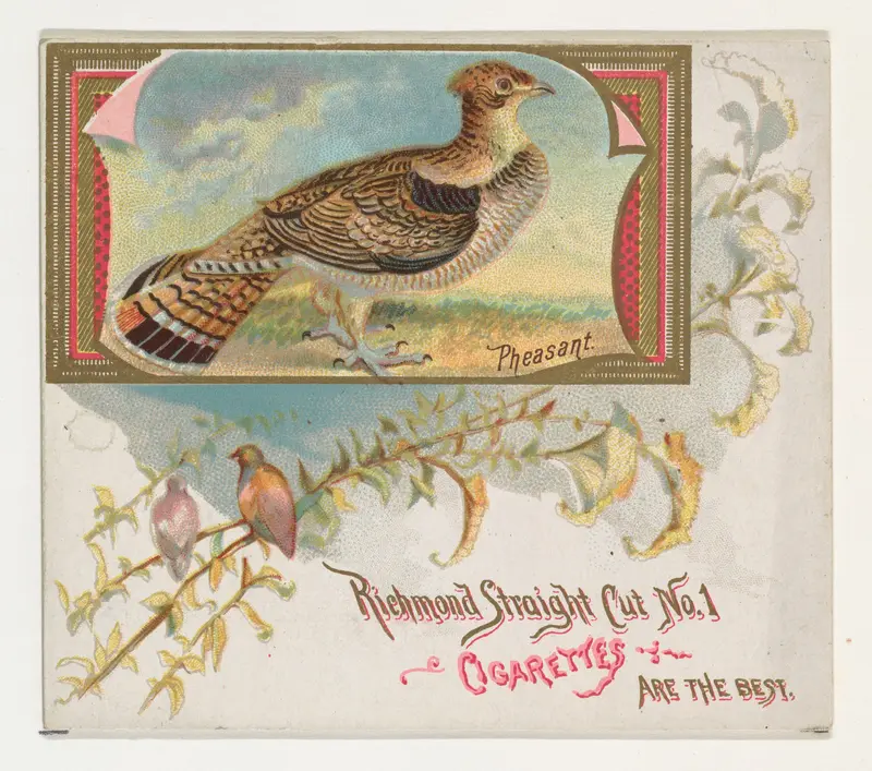 Pheasant, from the Game Birds series (N40) for Allen & Ginter Cigarettes Wall Art by Allen & Ginter - High-Resolution Digital Print