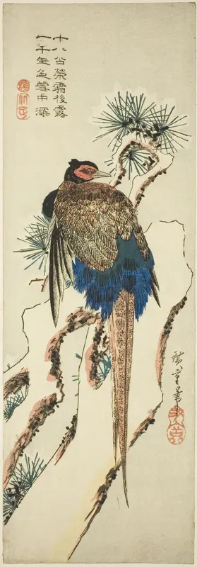 Pheasant on a Snow-Covered Pine Tree