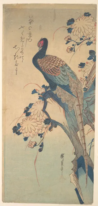 Pheasant with Chrysanthemums