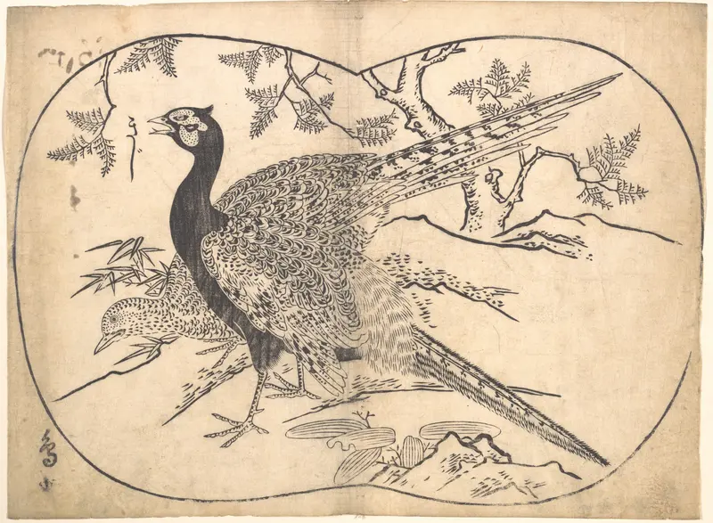 Pheasants