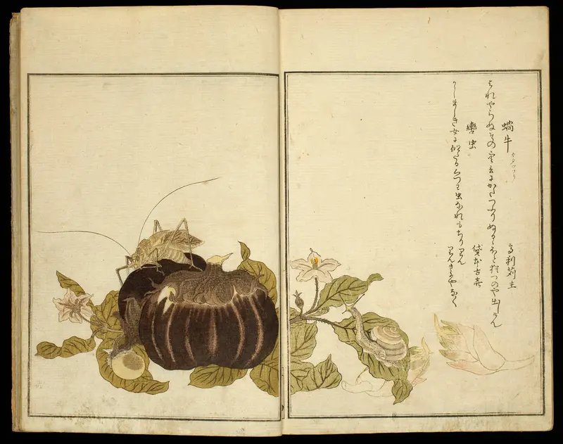 Picture Book: Selected Insects (Ehon mushi erabi)